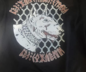 Zatrzymano dwóch skinheadów podejrzanych o podpalenia. Szokujące, co znaleziono w ich domach