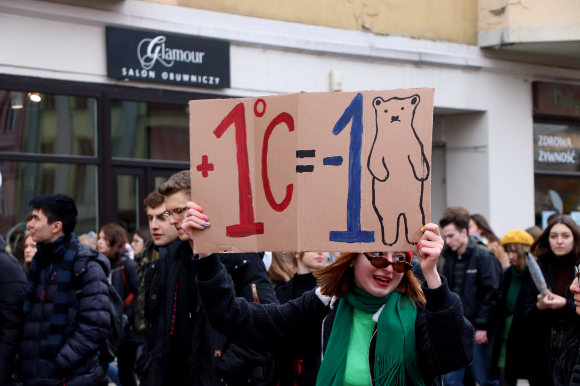 Młodzieżowy Strajk Klimatyczny w Toruniu