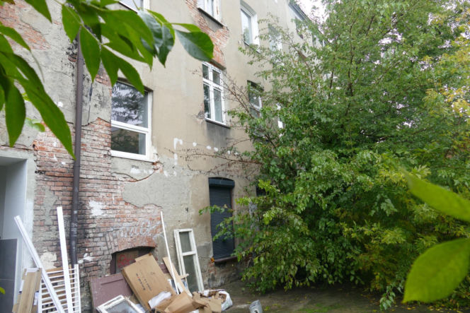 Wypchnął Olę z okna, bo nie chciała do niego wrócić. Drzewa uratowały jej życie