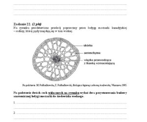 Arkusz biologia rozszerzony matura 2014