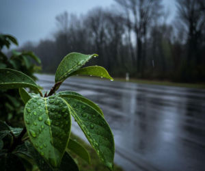 Pogoda na weekend w Lublinie 17-19 kwietnia. Po chłodnym piątku nadejdzie cieplejsza sobota