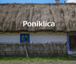 Poniklica