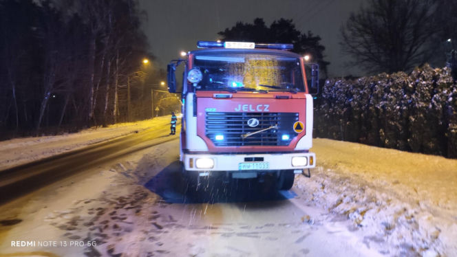 Pożar domu w Mińsku Mazowieckim, strażacy uratowali kota