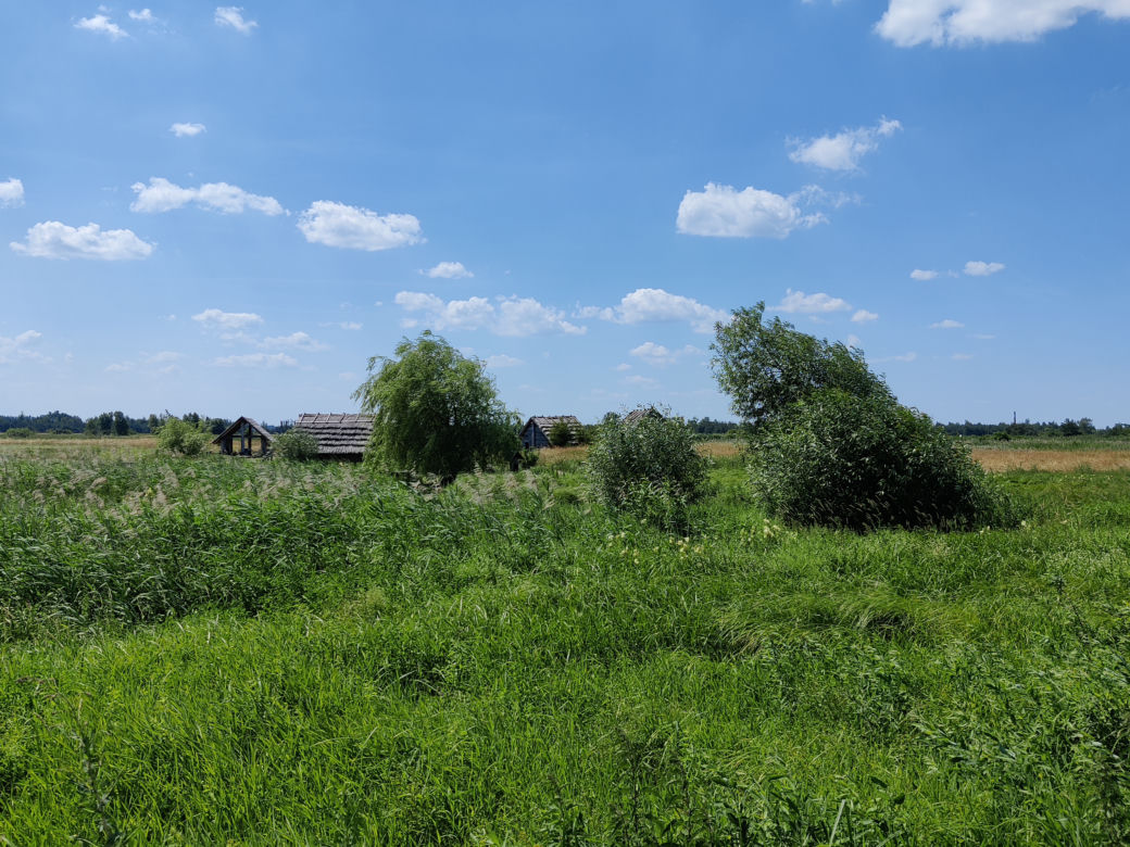 Mniej znana atrakcja z woj. lubelskiego. Zobacz zdjęcia z grodziska w pow. opolskim