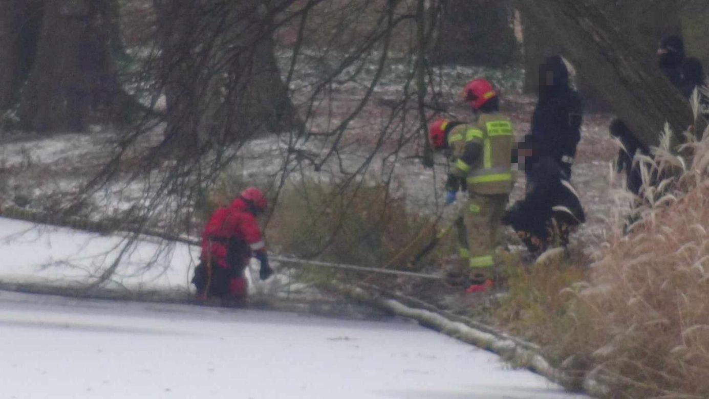 Makabra w Łazienkach Królewskich. Zamarznięte zwłoki w stawie