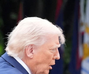 Bawół wygląda jak Donald Trump! To ocaliło mu życie