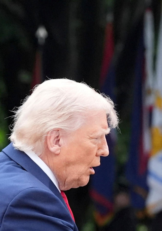 Bawół wygląda jak Donald Trump! To ocaliło mu życie