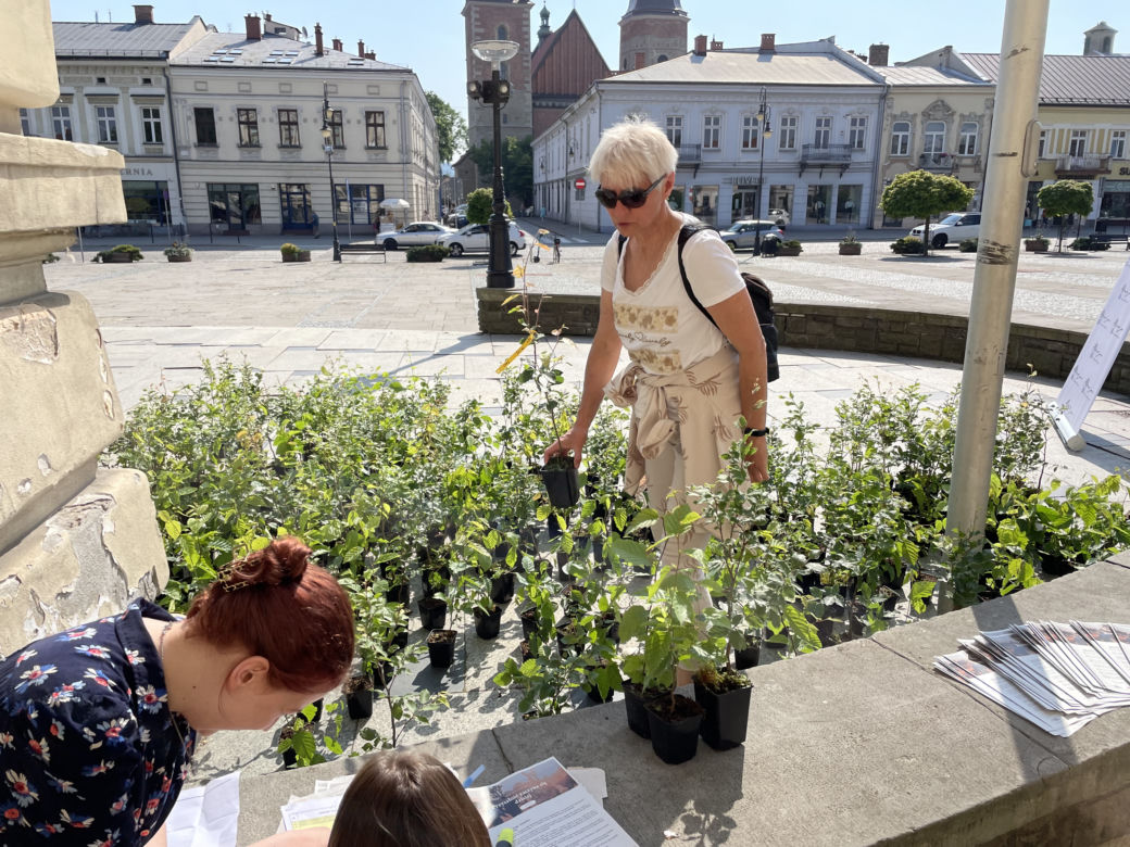 Młodzieżowa Rada Miasta rozdała sadzonki drzew