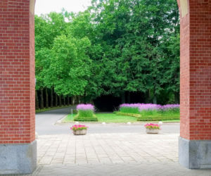 Tysiące wyjątkowych kwiatów ozdobiły największy cmentarz w Polsce