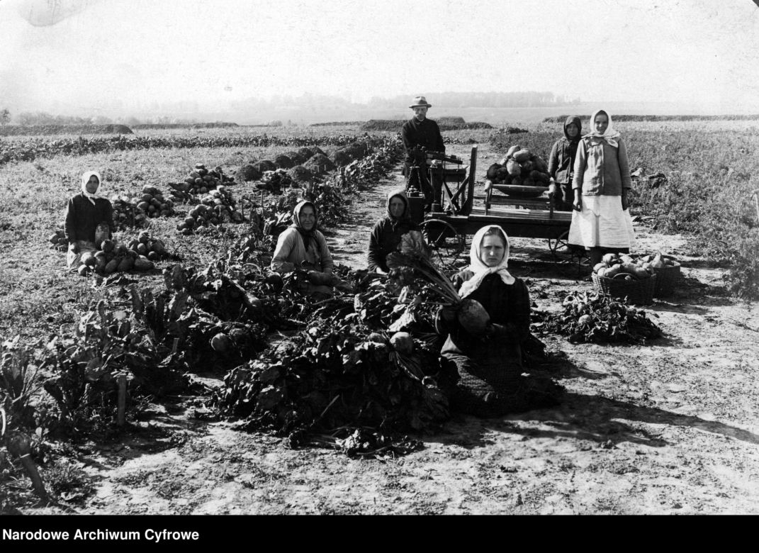 Tak mieszkało się na polskiej wsi prawie 100 lat temu. Zobaczcie te niezwykłe zdjęcia!