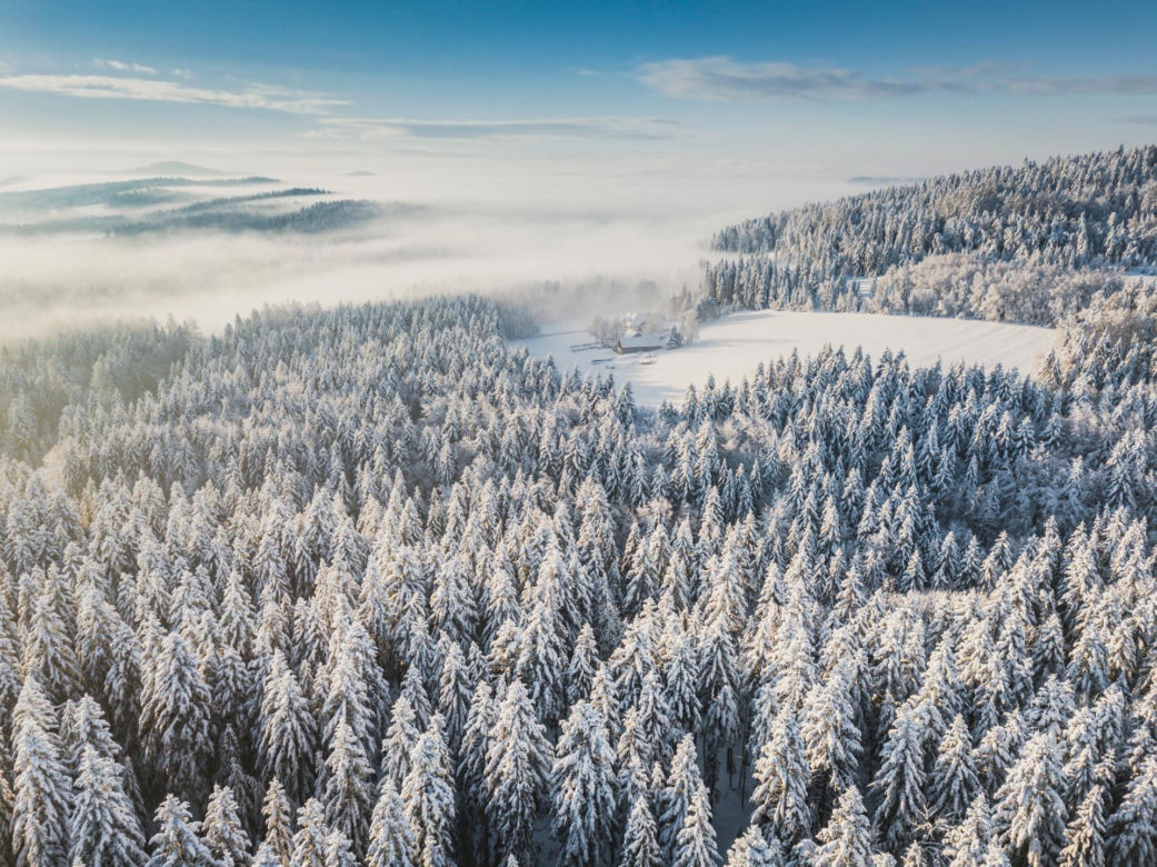 Krynica-Zdrój zimą
