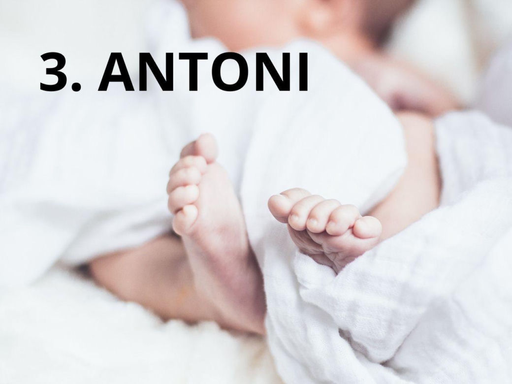 3. Antoni (254)