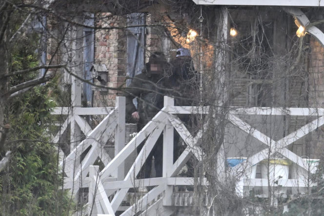 Prawdziwe paparazzi Rozenków nad morzem