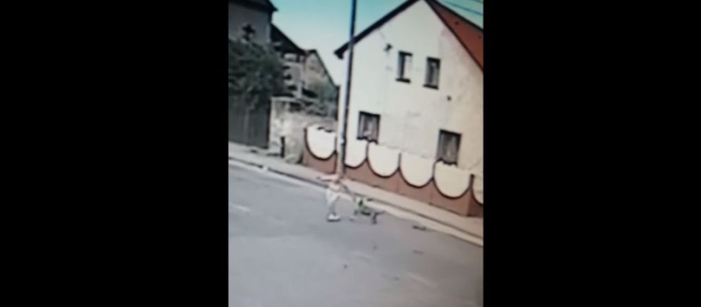 Pies RZUCIŁ SIĘ na młodą kobietę
