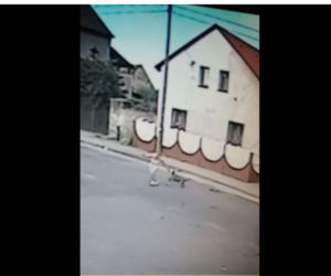 Pies RZUCIŁ SIĘ na młodą kobietę