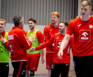 ME piłkarzy ręcznych: Kiedy grają Polacy? Terminarz meczów Polski na ME