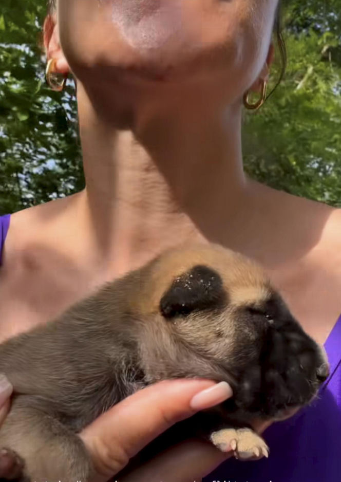 Malwina Wędzikowska uratowała psa