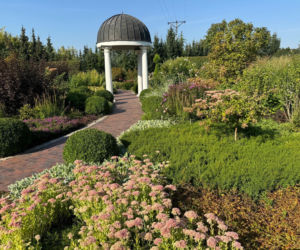 Ogrody Kapias w Goczałkowicach