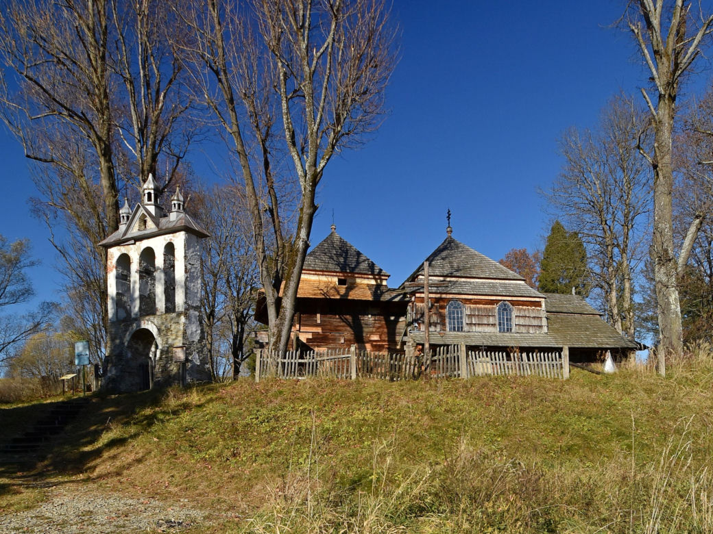 Liskowate