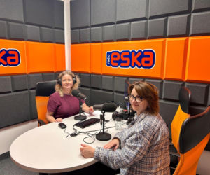 Schronisko dla Zwierząt w Olsztynie szuka wolontariuszy do opieki nad kotami
