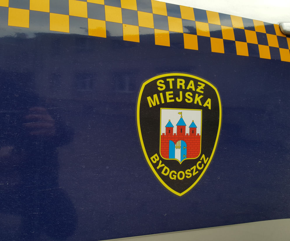 Nietypowy pościg za psiakiem w Bydgoszczy! Najpierw uciekał uliczkami, a potem wskoczył do Brdy