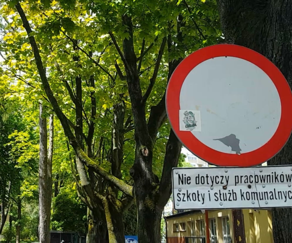 Samochodowy armagedon przy szkołach! Dzieci nie są tam bezpieczne
