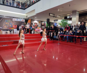 WOŚP w Kielcach. Hojni kielczanie licytowali w Galerii Echo