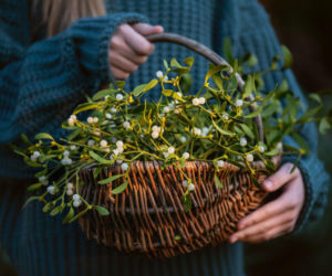 Jemioła na święta: co oznacza i jak nią dekorować dom?