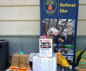 Warszawa: Finał akcji „Paka dla bezdomnego szczeniaka”