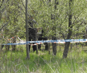  Zwłoki w studni na działce w miejscowości Krupia Wólka