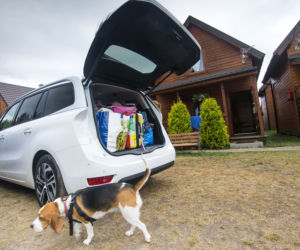 Minivanem z rodziną na wczasy