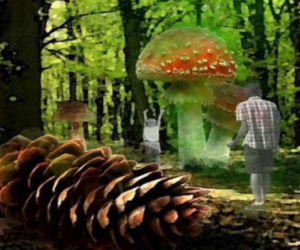 Tak będzie wyglądał Ogród Botaniczny Marszewo po zmianach