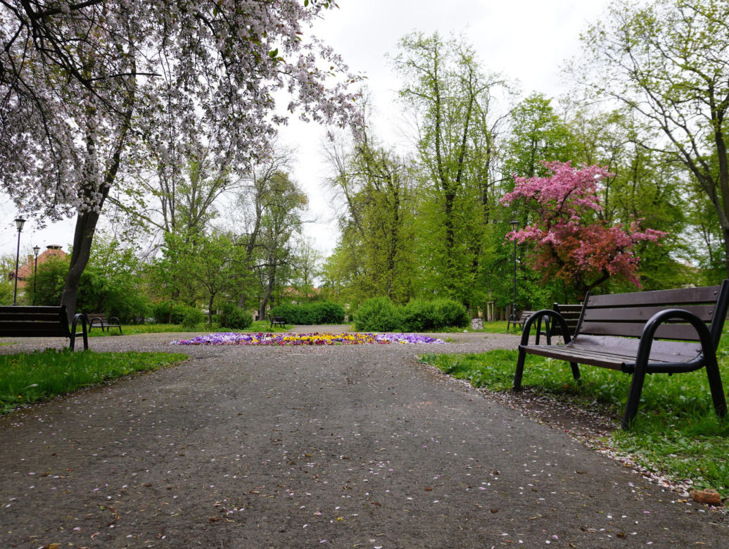 Park Bronowice wiosną 2024