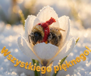 Piękne życzenia świąteczne 2025 dla rodziców. Ciepłe i pełne wdzięczności życzenia