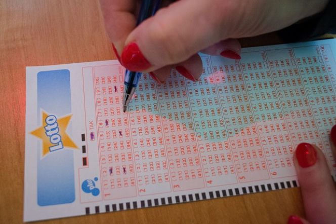 Lotto w internecie - nowy projekt totalizatora sportowego 