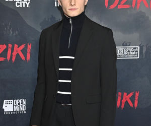 Gwiazdy na przedpremierze filmu Dziki