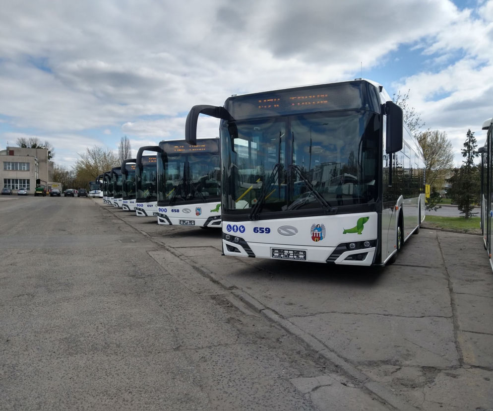 Po majówce na toruńskie ulice wyjadą nowe autobusy 