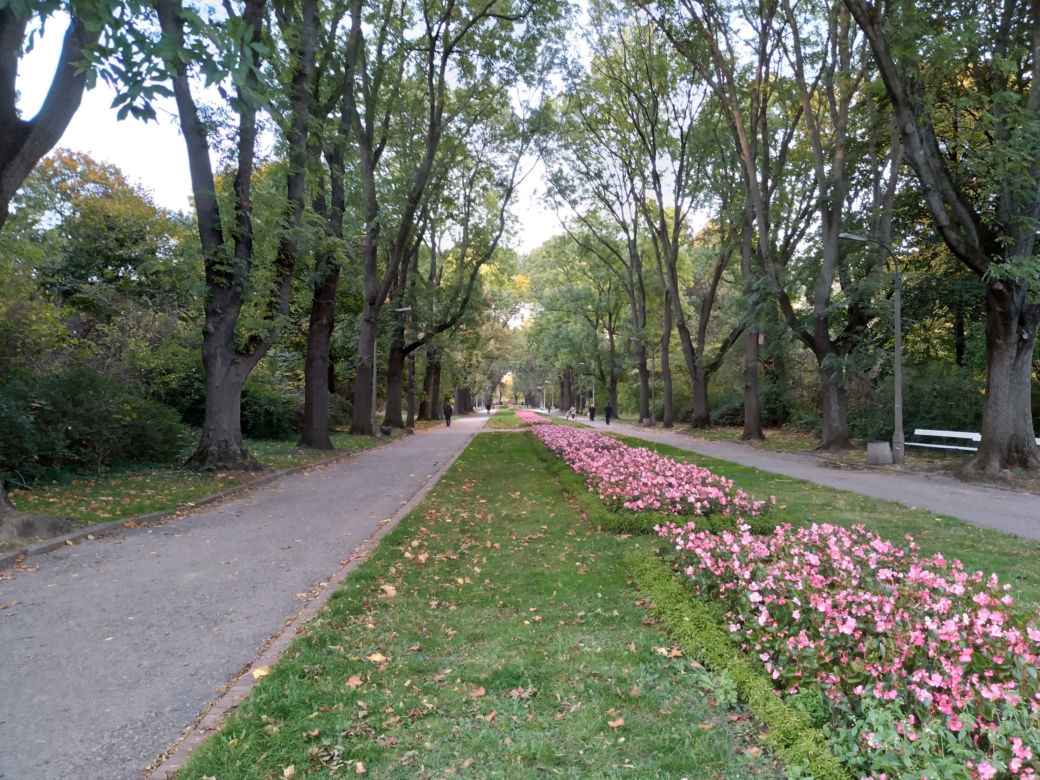 Park Skaryszewski