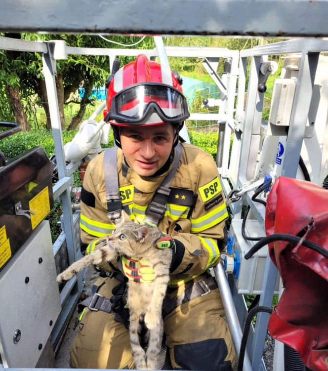 Sebastian ratował innych, teraz sam walczy o życie. Dramatyczny wypadek na spacerze z synem