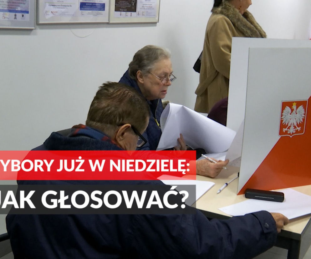 Wybory do Parlamentu Europejskiego. Gdzie głosować w Rzeszowie i na Podkarpaciu? [INFORMATOR]