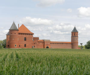 Ostatni zamek. Zamczystość polska: od Wawelu do Stobnicy