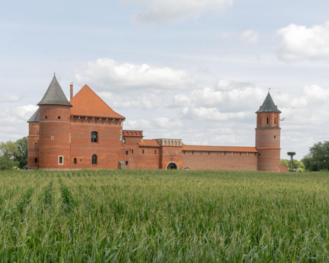 Ostatni zamek. Zamczystość polska: od Wawelu do Stobnicy