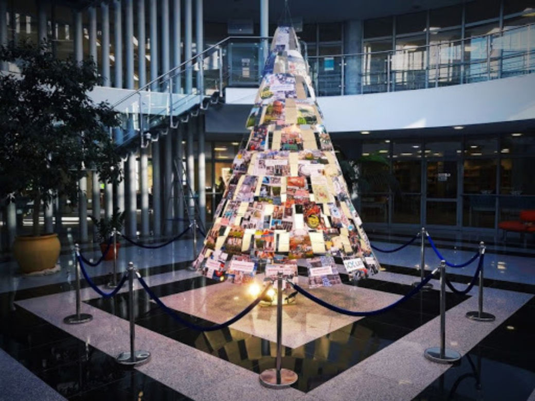 Choinki biblioteki UWM to dzieła sztuki!