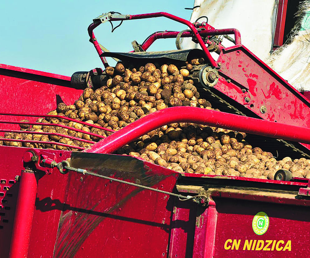 Agro - CN Nidzica