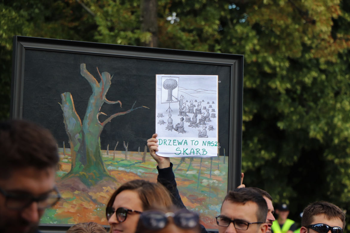 Wielki protest w Toruniu. Mieszkańcy mówią #stopBETONOZIE