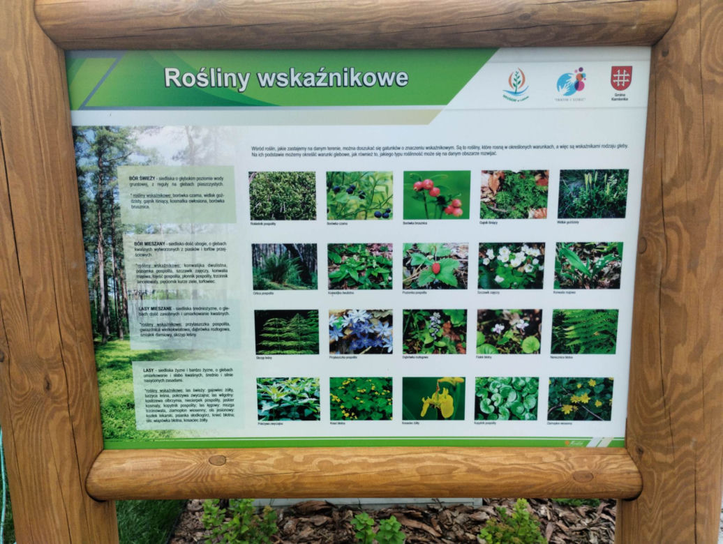 Ogród wertykalny w Kamionce