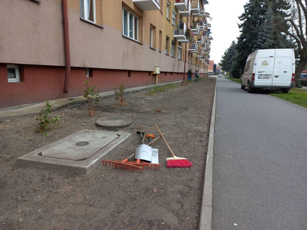 Kilkaset roślin i pergola. Zmienia się ulica Dąbrowskiego w Lesznie