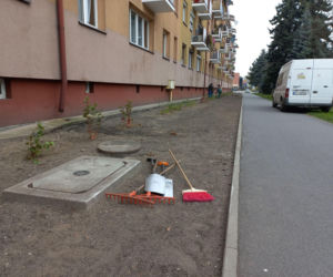 Kilkaset roślin i pergola. Zmienia się ulica Dąbrowskiego w Lesznie