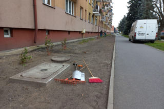 Kilkaset roślin i pergola. Zmienia się ulica Dąbrowskiego w Lesznie