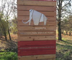 Park Mamuta na Oporowie gotowy